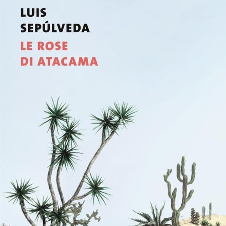 âLe rose di Atacamaâ (2000) - Luis SepĂșlveda