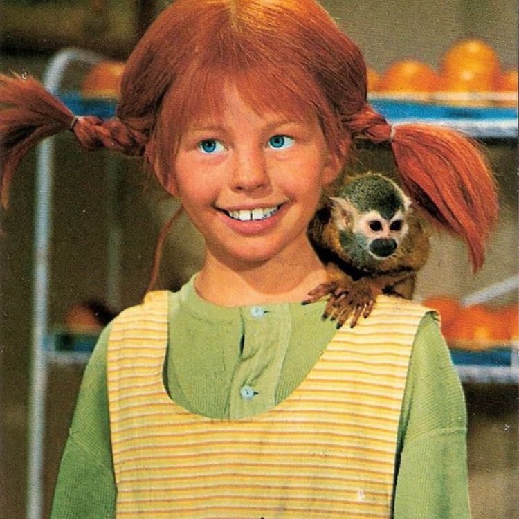 Pippi Calzelunghe (tv show 1969)
