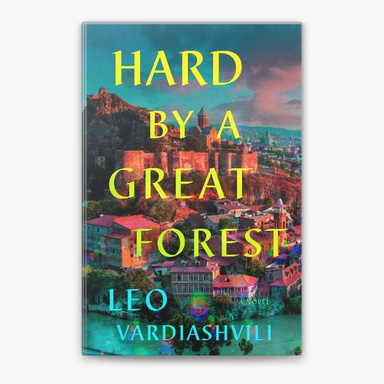 âVicino a una grande forestaâ (2024) - Leo Vardiashvili