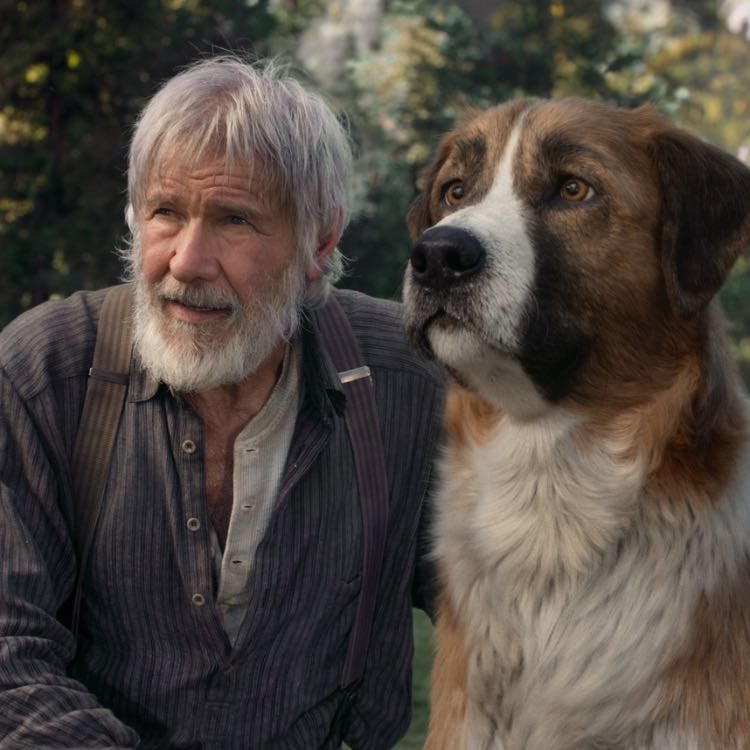 The Call of the Wild (2020)