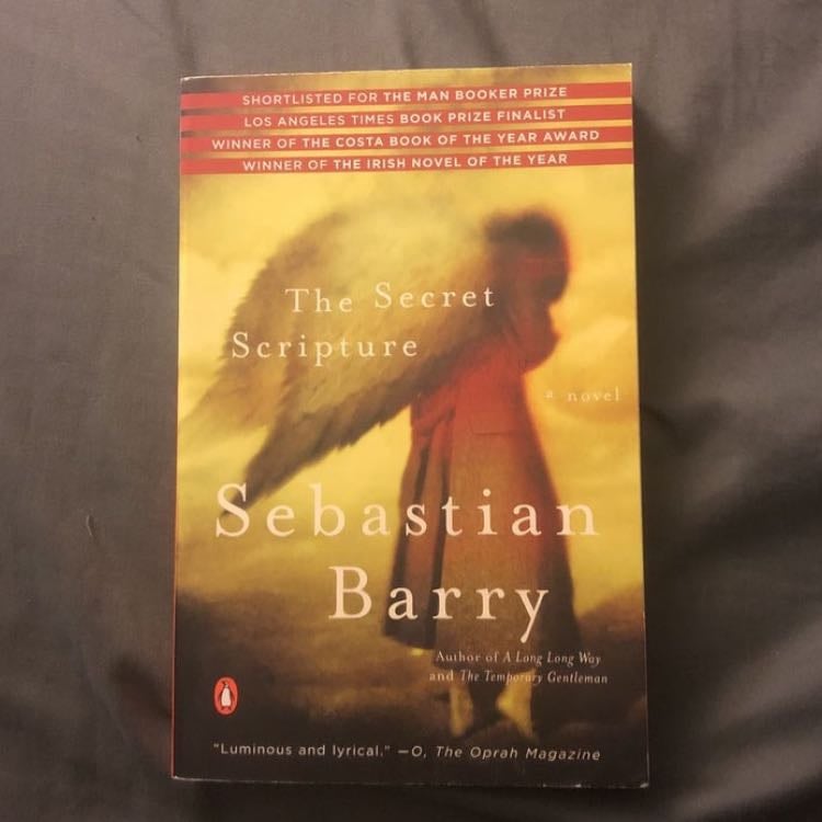 âThe Secret Scriptureâ (2008) - Sebastian Barry