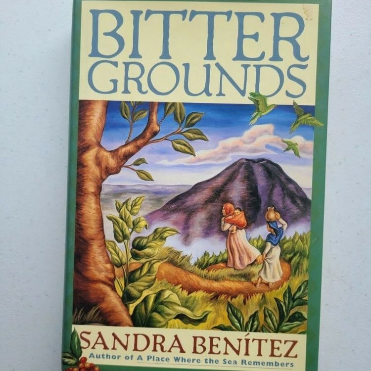 âBitter groundsâ (1997) - Sandra BenĂtez