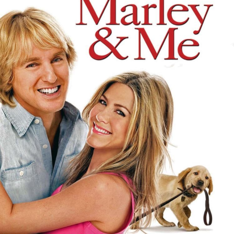 Marley & Me (2008)