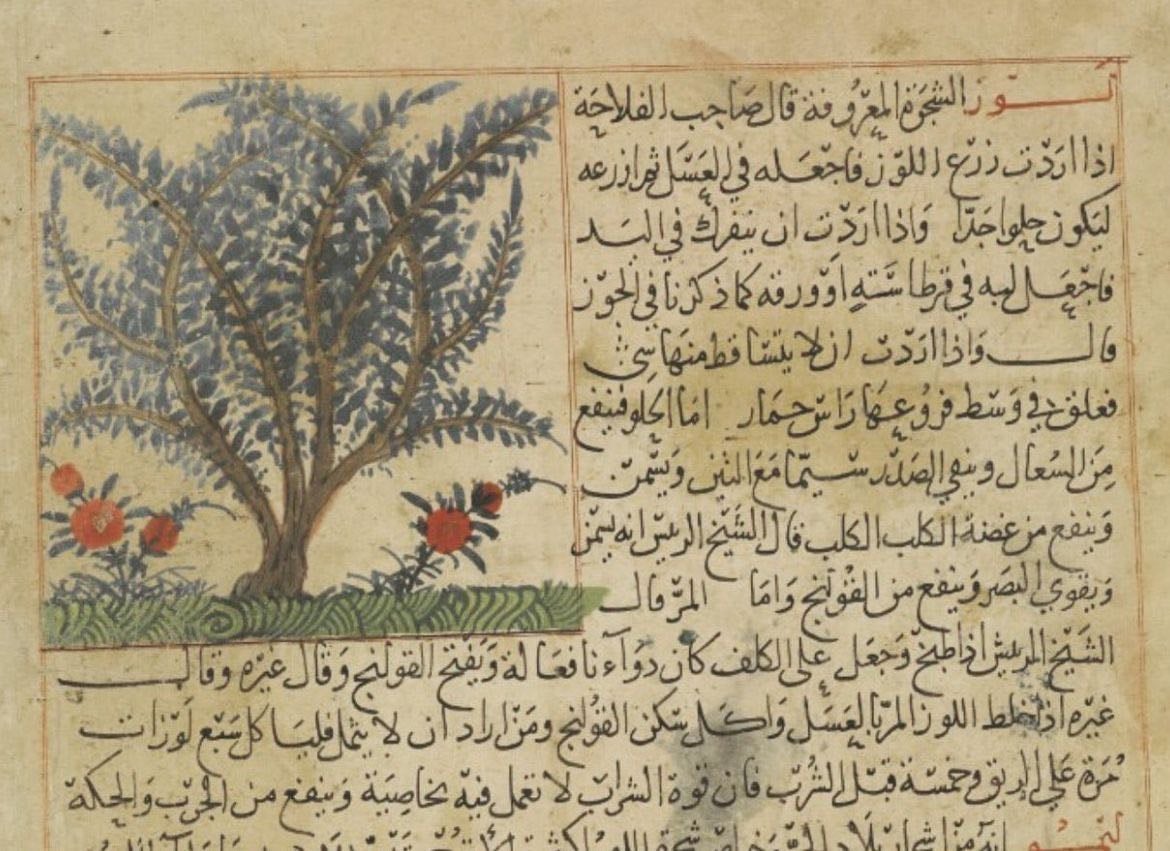 Deep languages - Poetic and beautiful