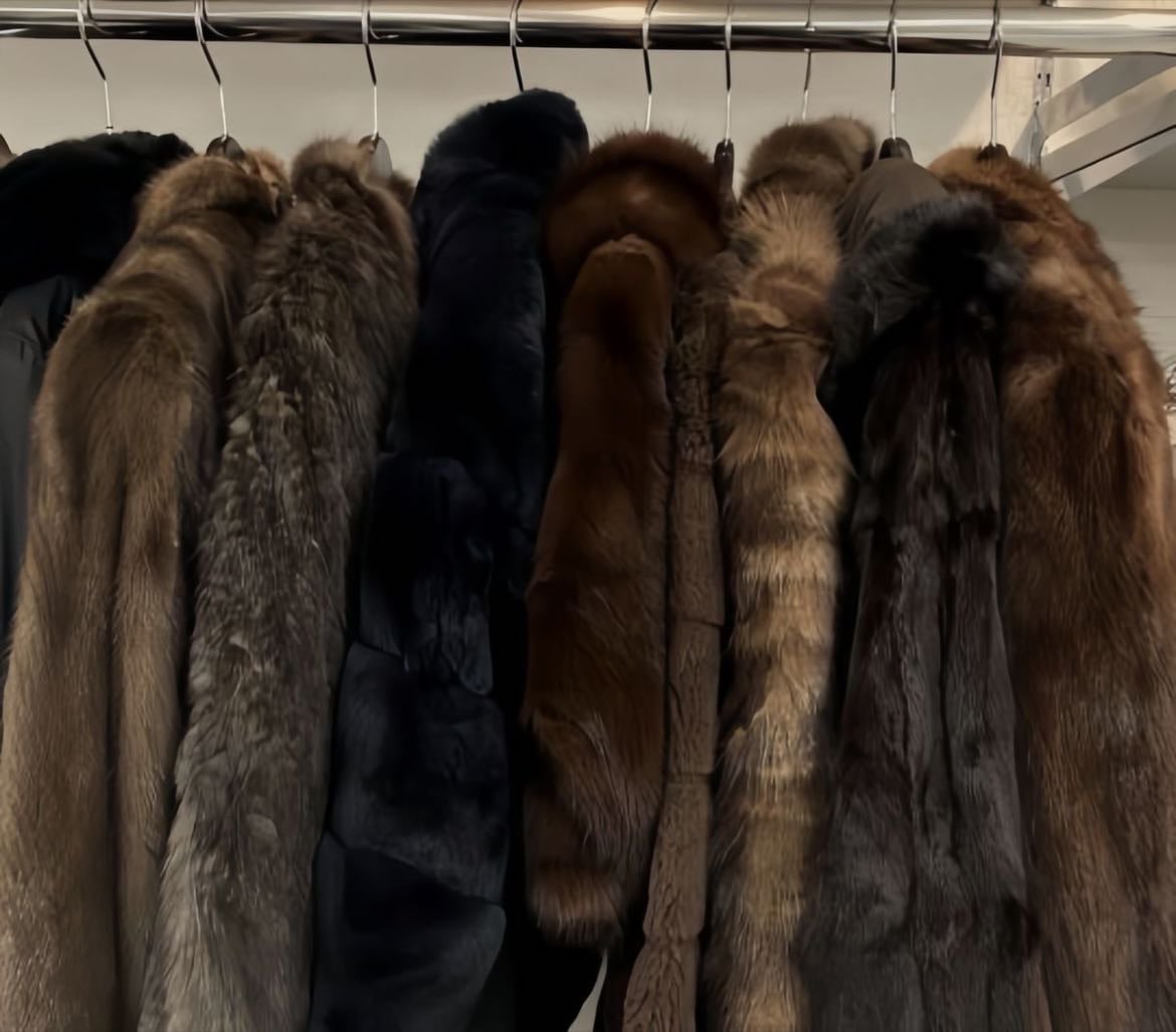Owning a fur coat - Not animal’s ofc