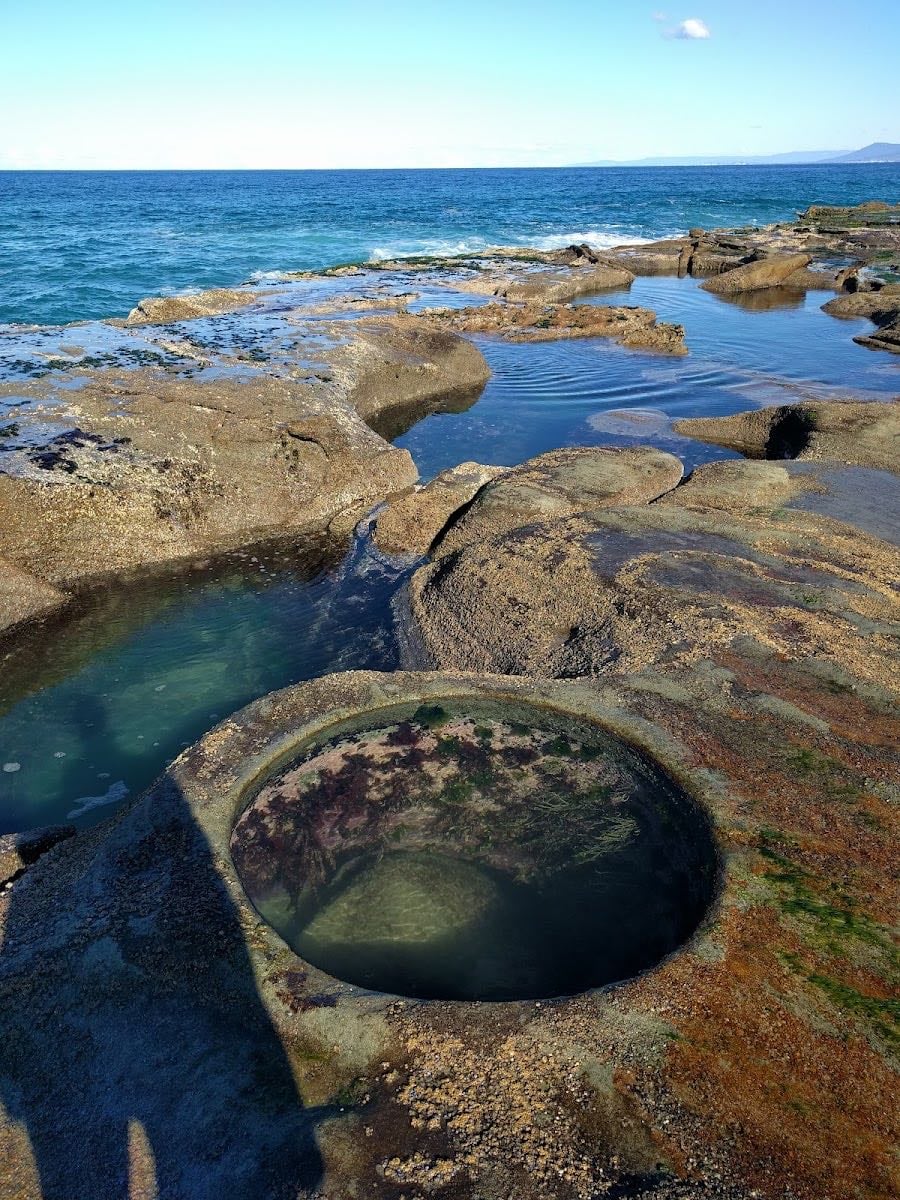 Royal National Park
