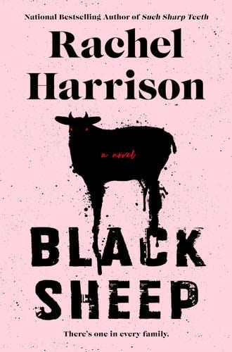 Black Sheep - Rachel Harrison · 2023