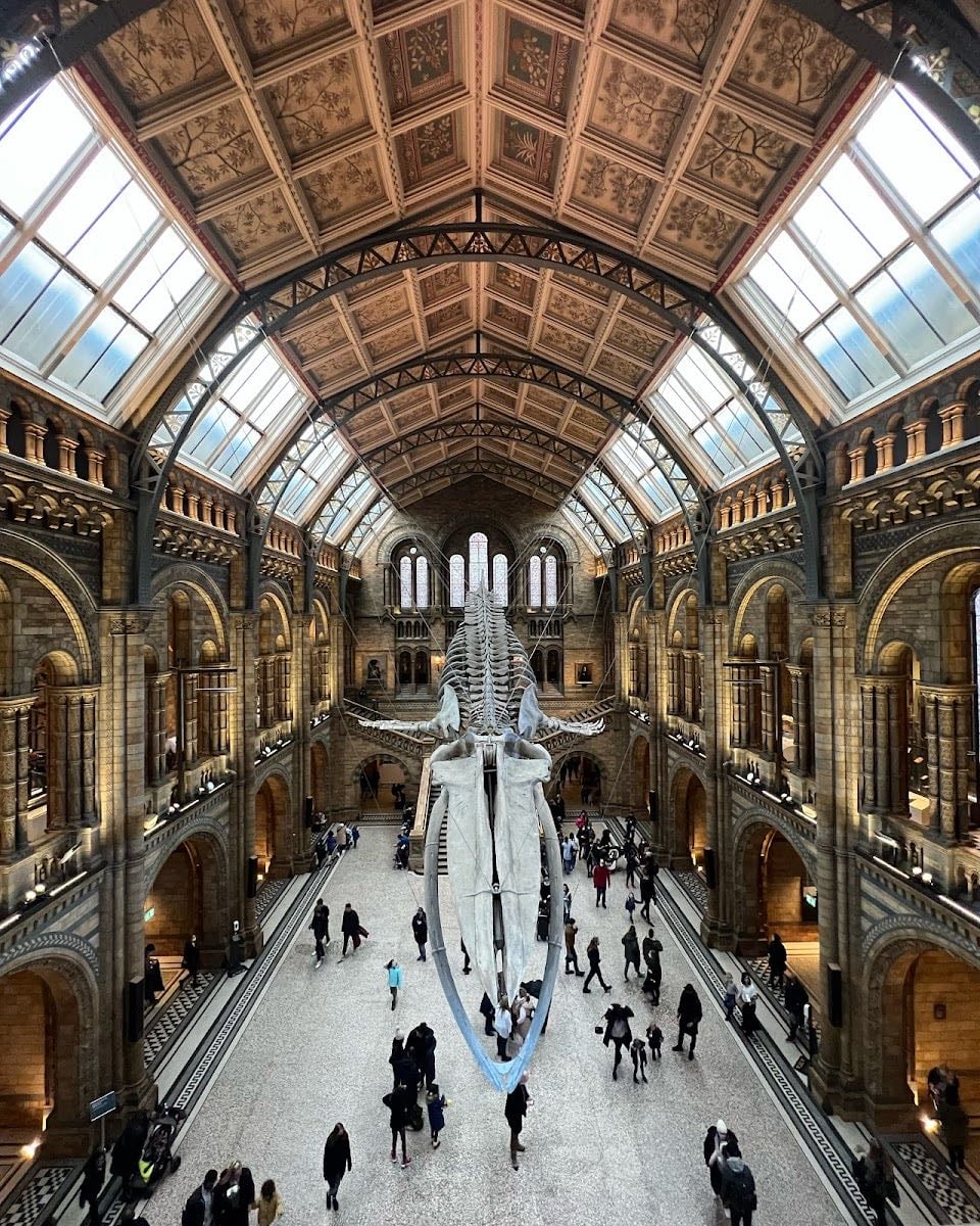 Musée d'histoire naturelle de Londres