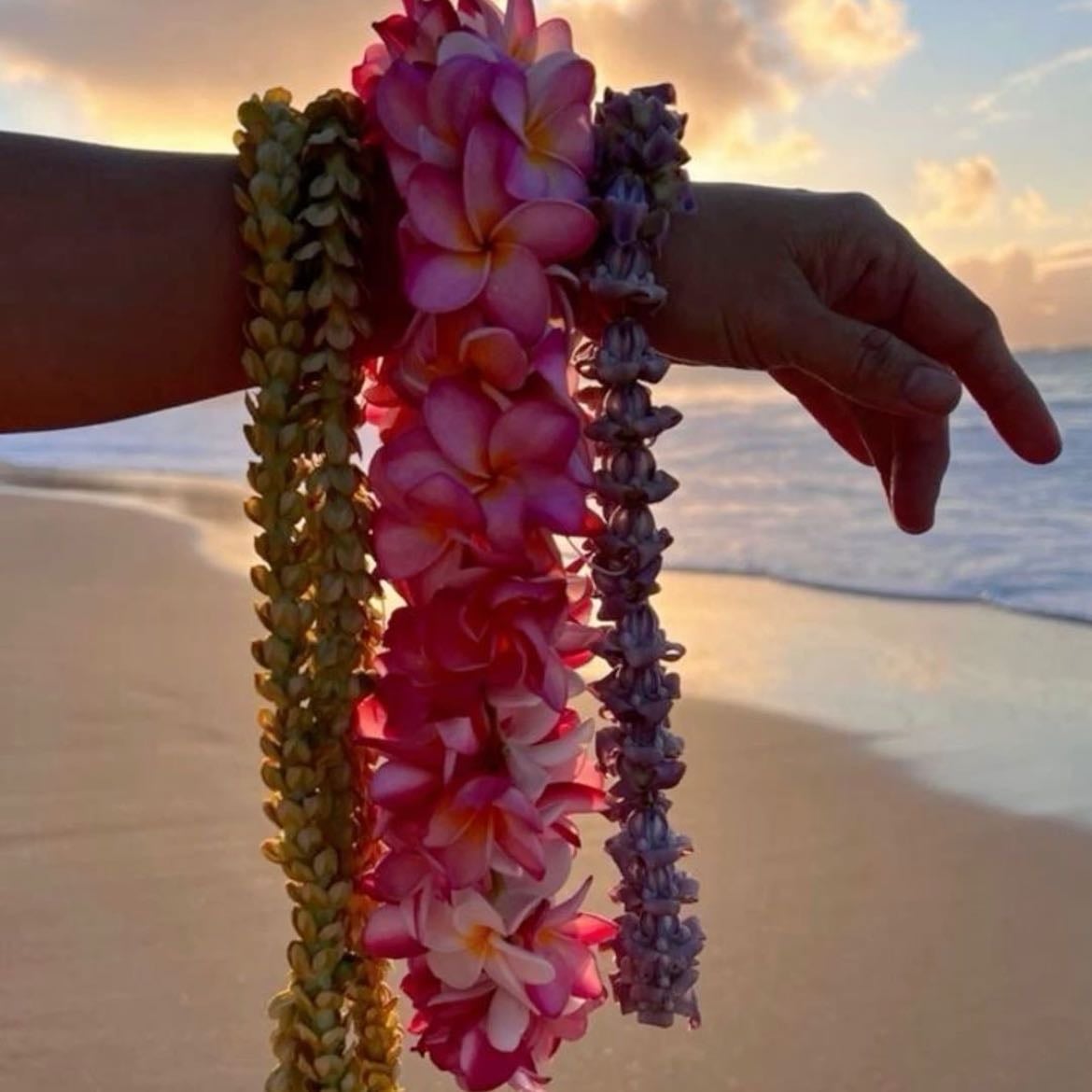 Moana 2 - David G. Derrick Jr. · 2024
