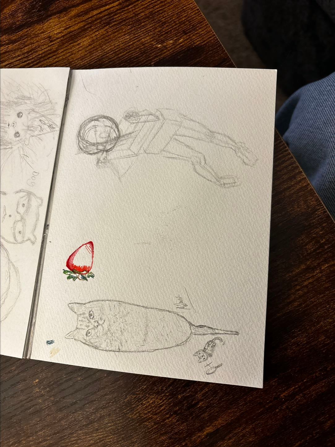 Random drawings