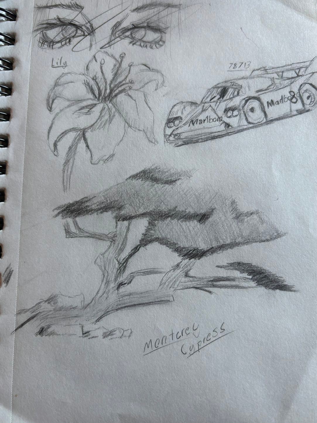 Doodles