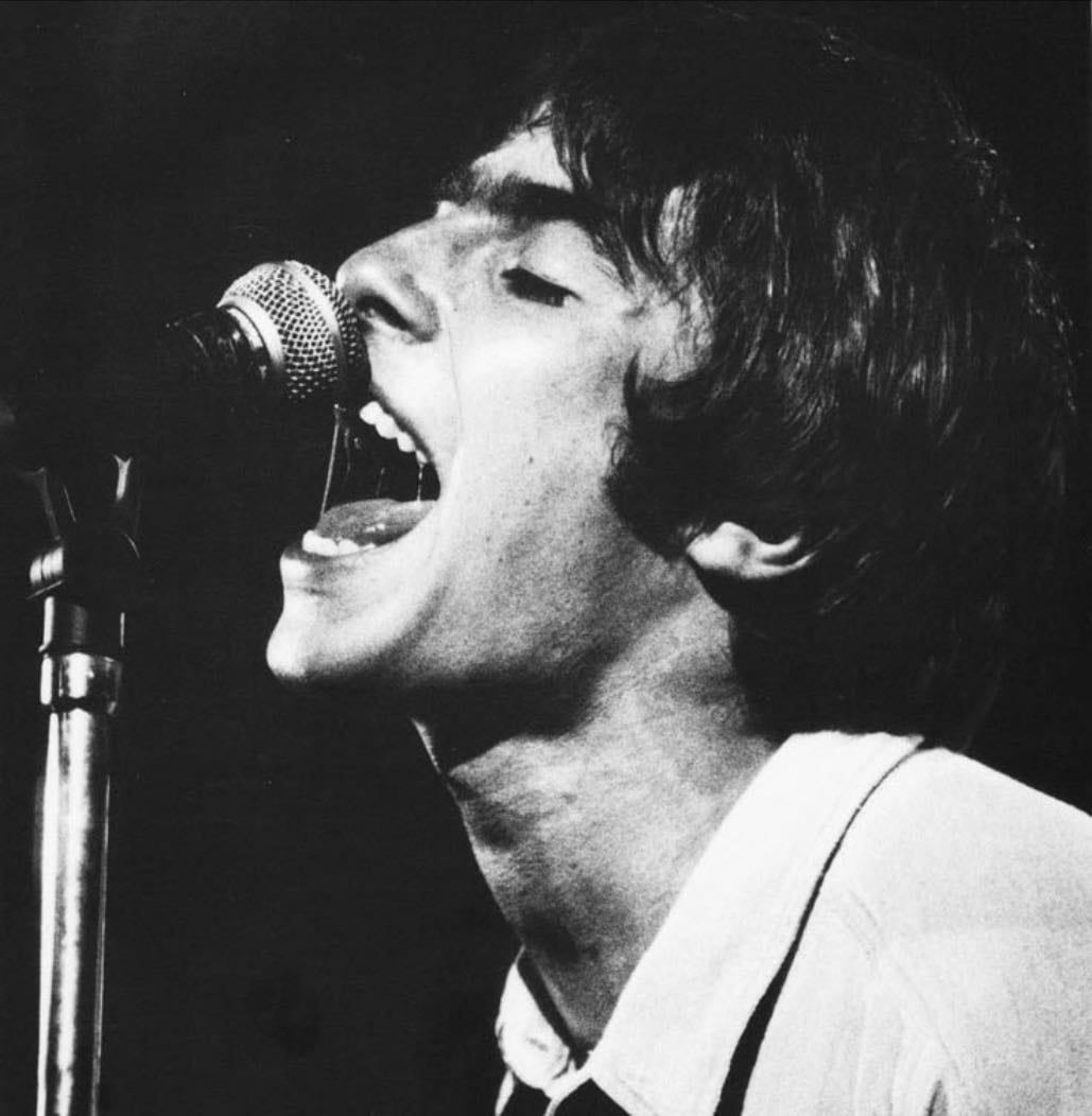 Ultimate Vinyl Wishlist 🇬🇧🍋🎸🎶🪲