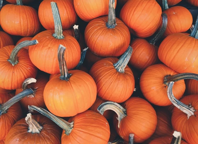 🍂🧛👻🎃Pelis que ver en halloween 🎃👻🧛🍂