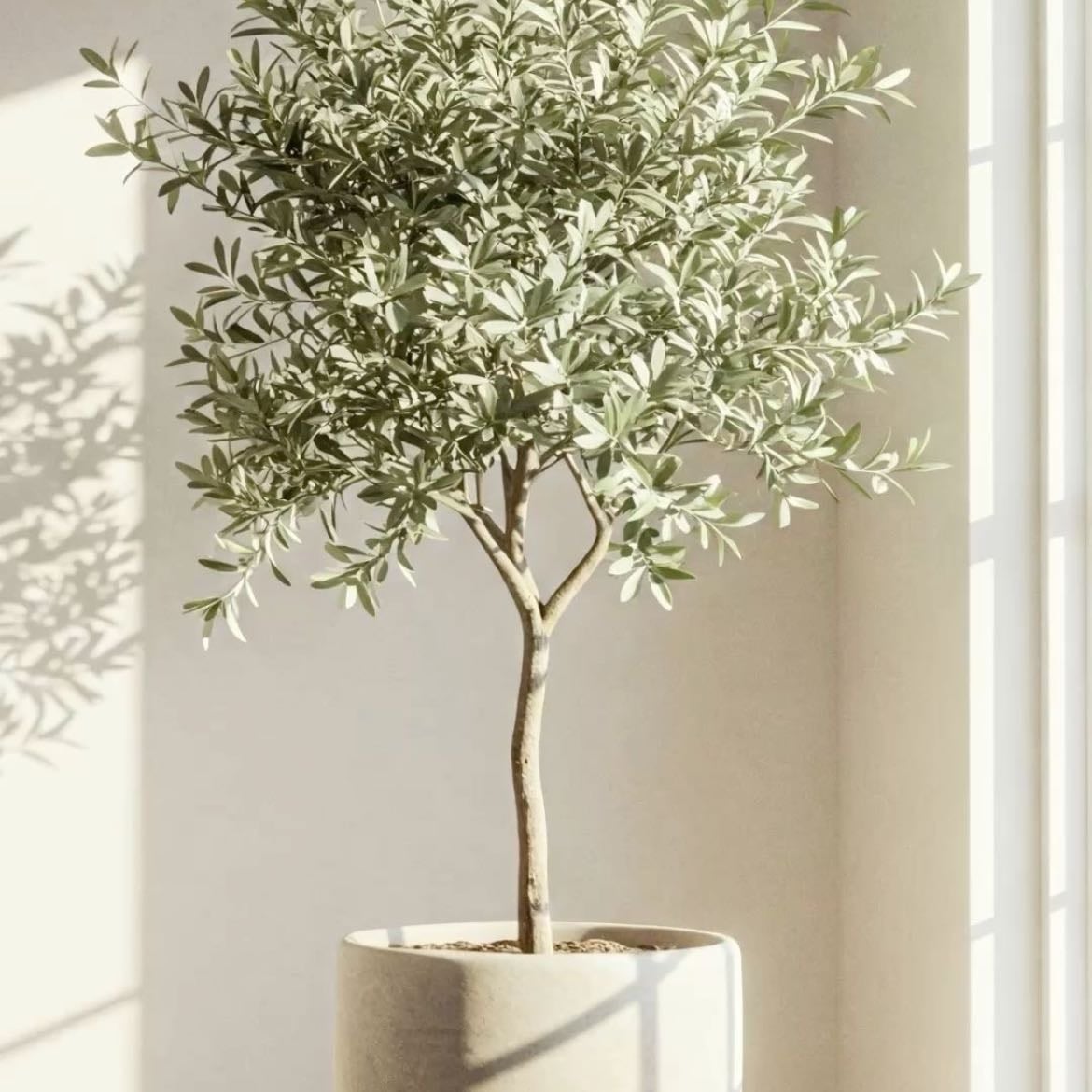 Árbol