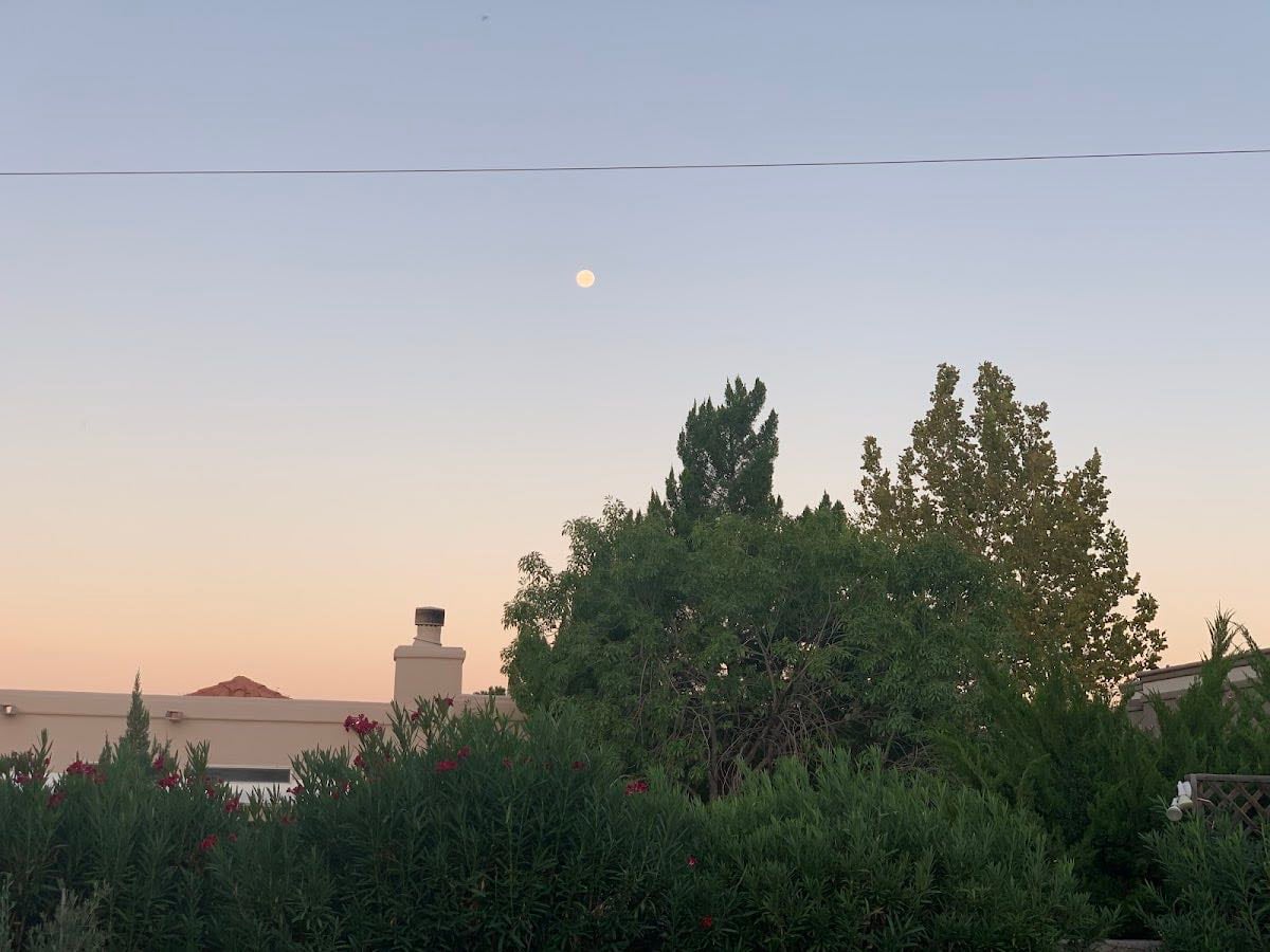 Las Cruces