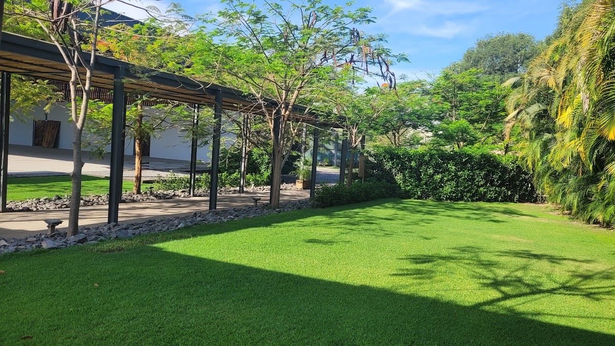 Verde Madera