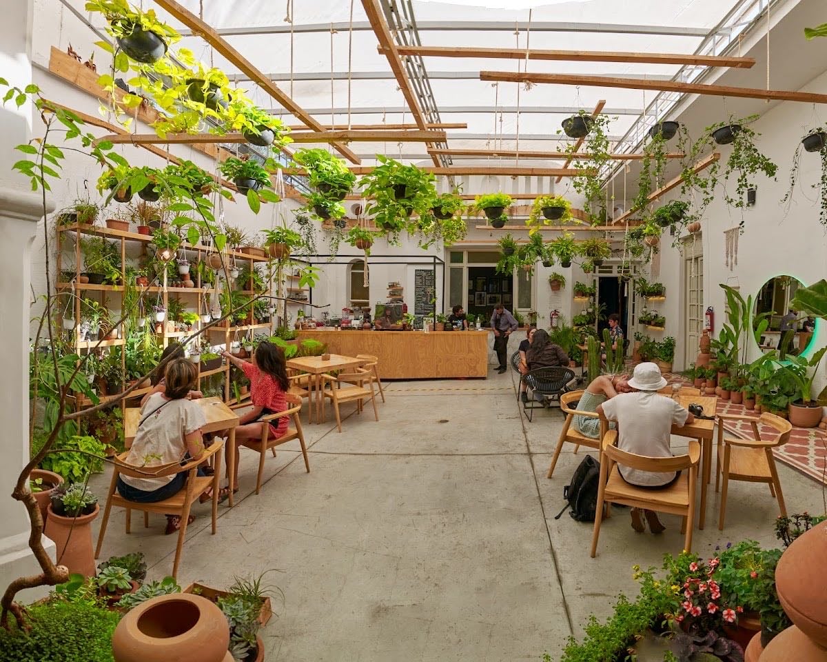 Endémico Vivero - Café
