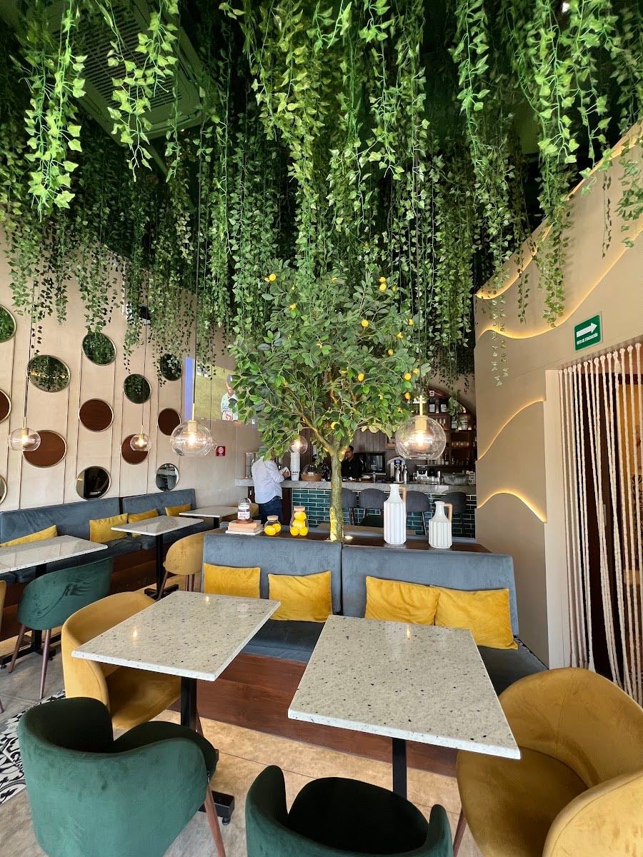 Nutcafé