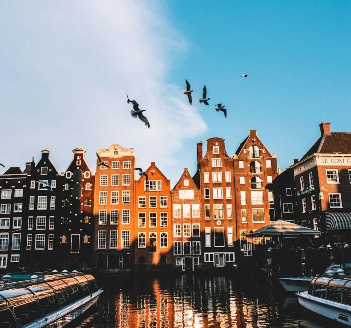 The netherlands ❀˖°