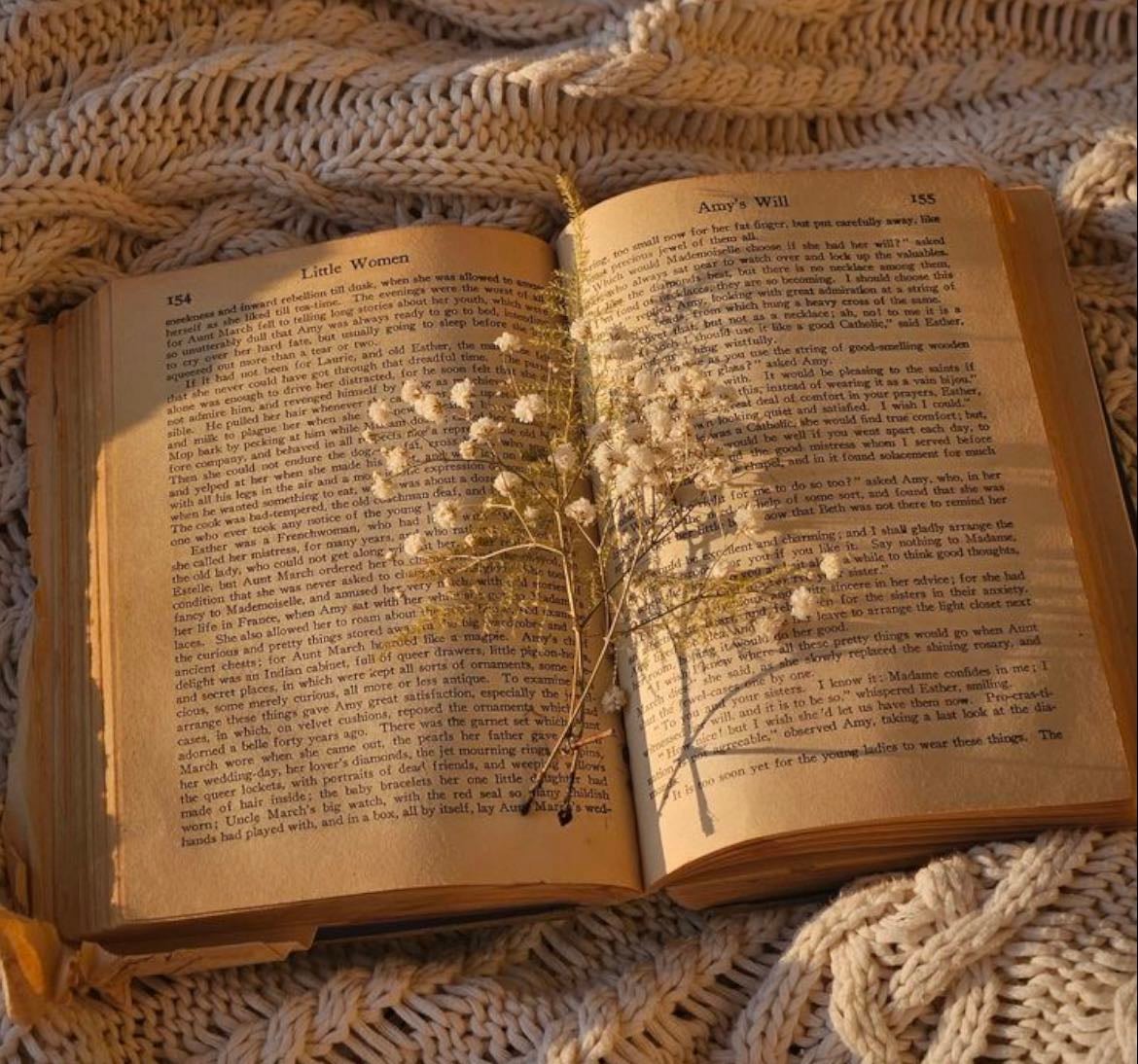 ⋆⋆⋆ Book list ⋆⋆⋆