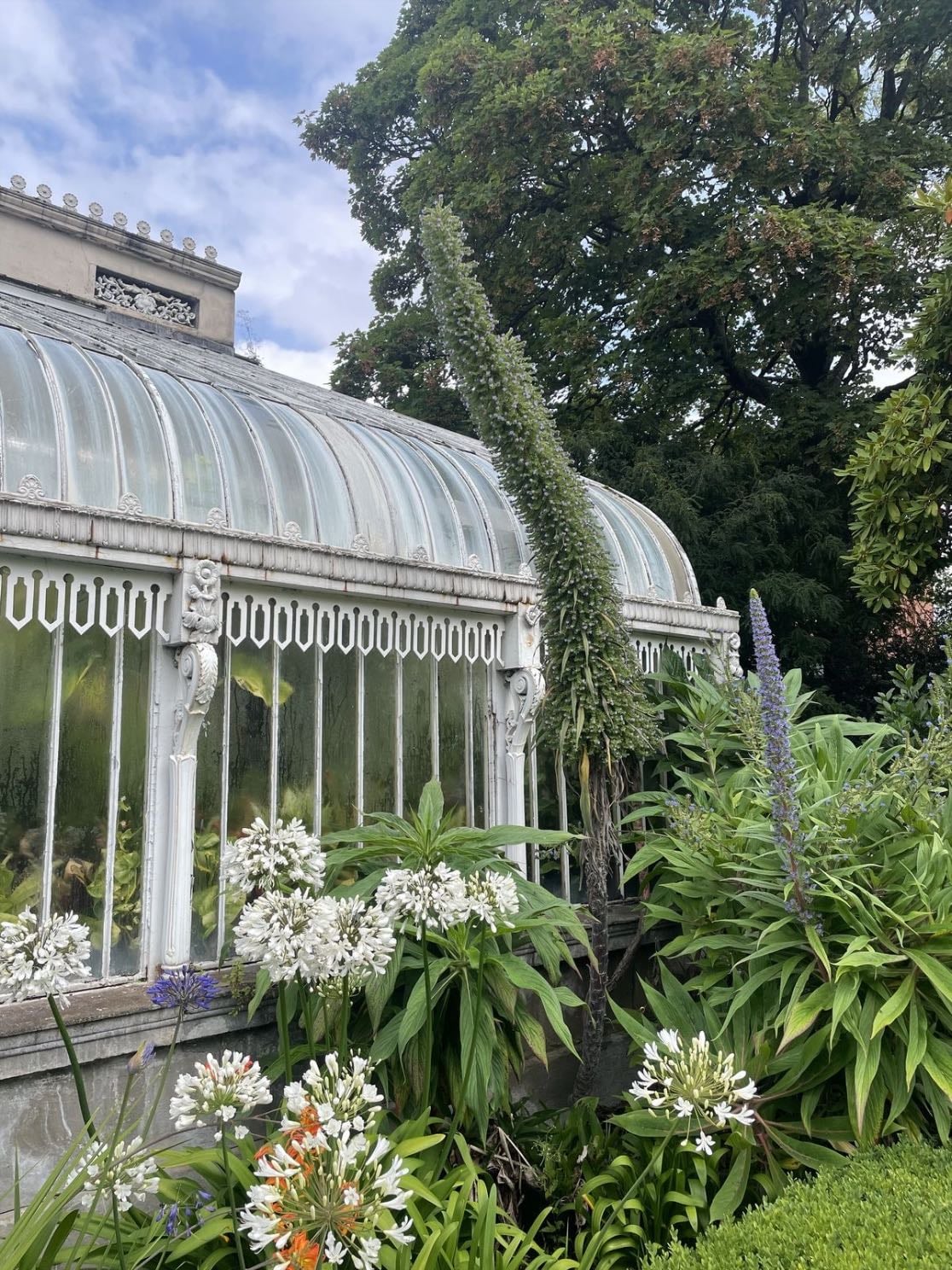 Botanic Gardens - Northern Ireland