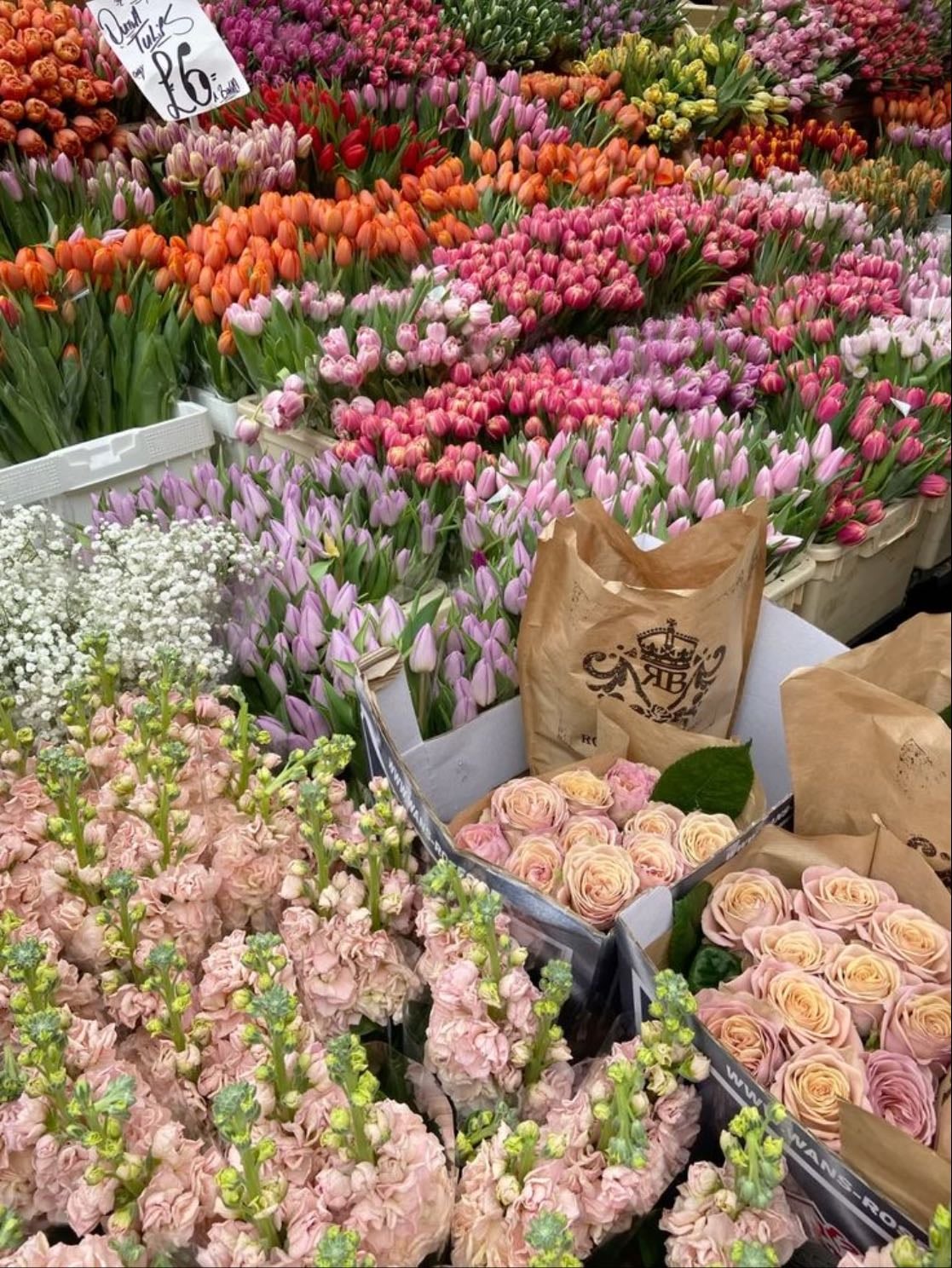 Columbia Road Flower Market