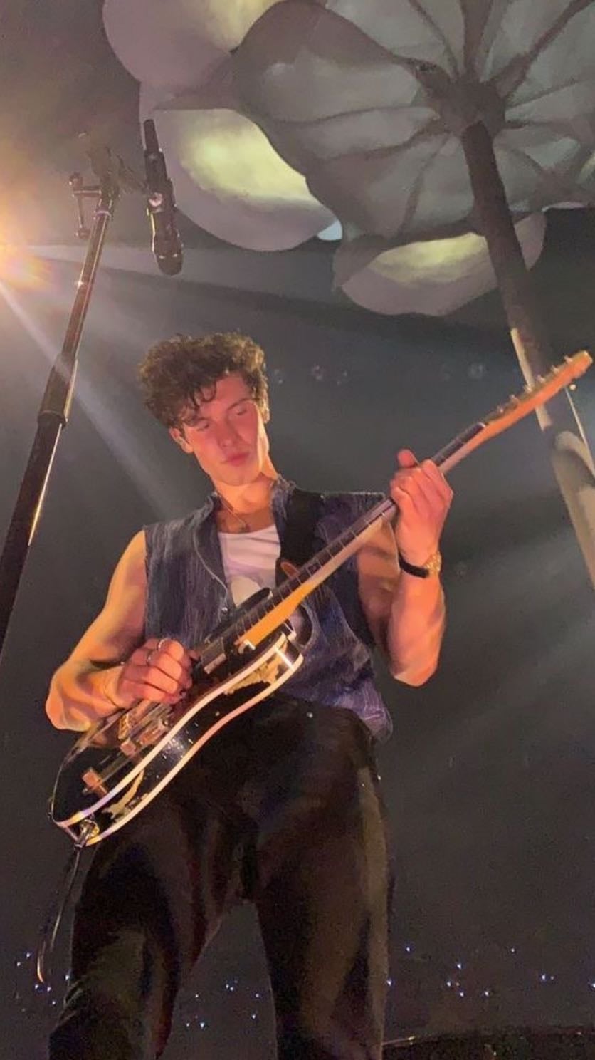 Shawn Mendes - Este chico solo tiene temazos, de verdad que me da muchísimo FOMO ir a un concierto suyo, sé que me lo pasaría fenomenal 🥹🤎