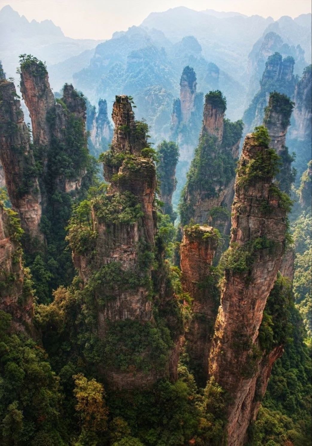 Zhangjiajie National Forest