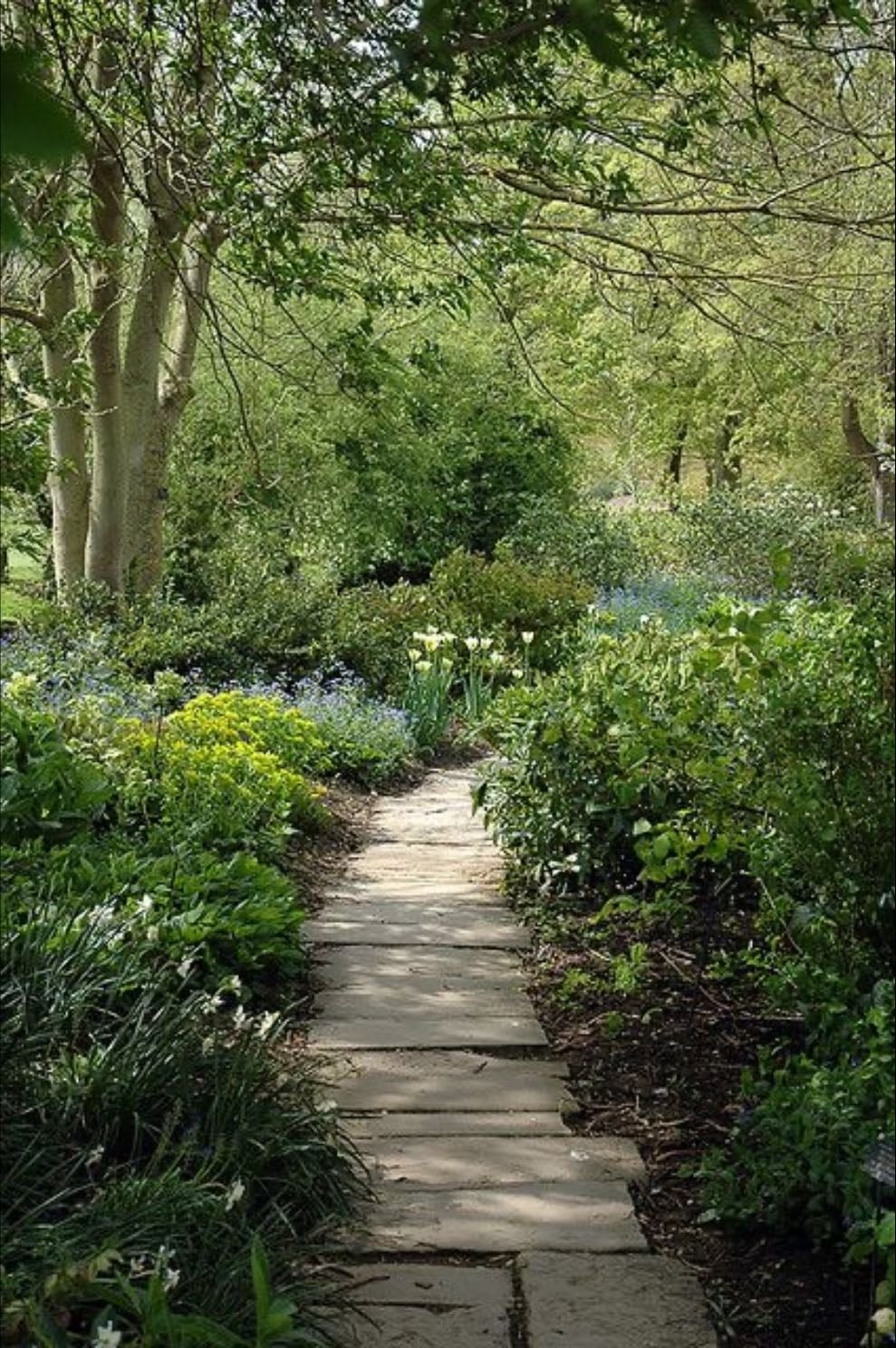 University of Oxford Botanic Garden - England