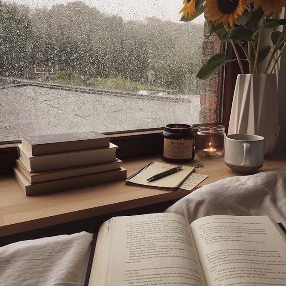 Rainy autumn night - Reading the book that really hooks you while you’re covered with your sheets, listening to the rain in the background.