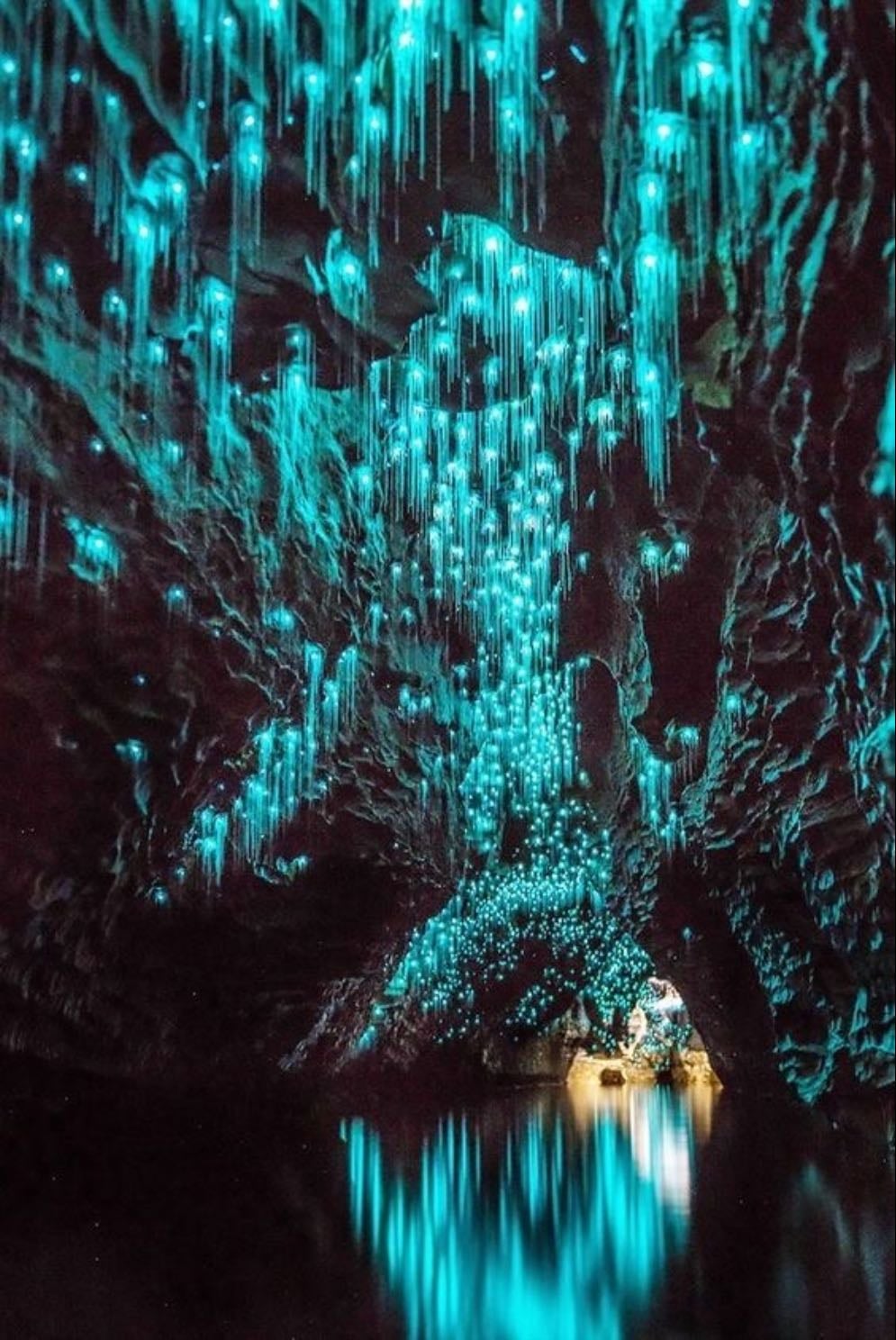 See the waitomo glow worm cave