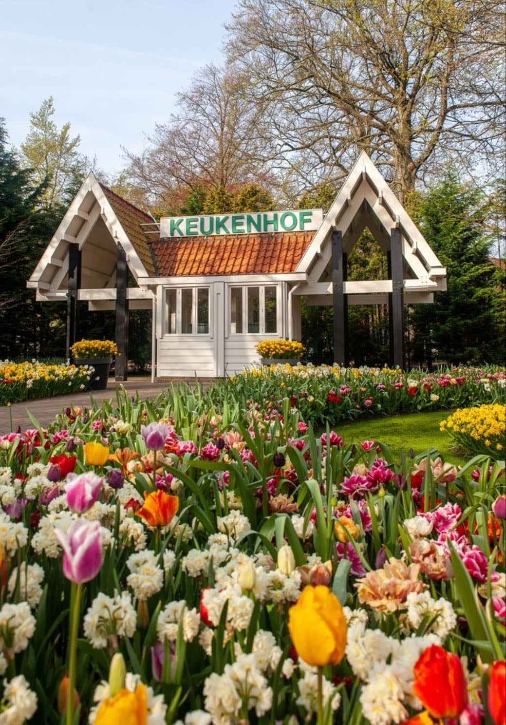 Keukenhof - Netherlands