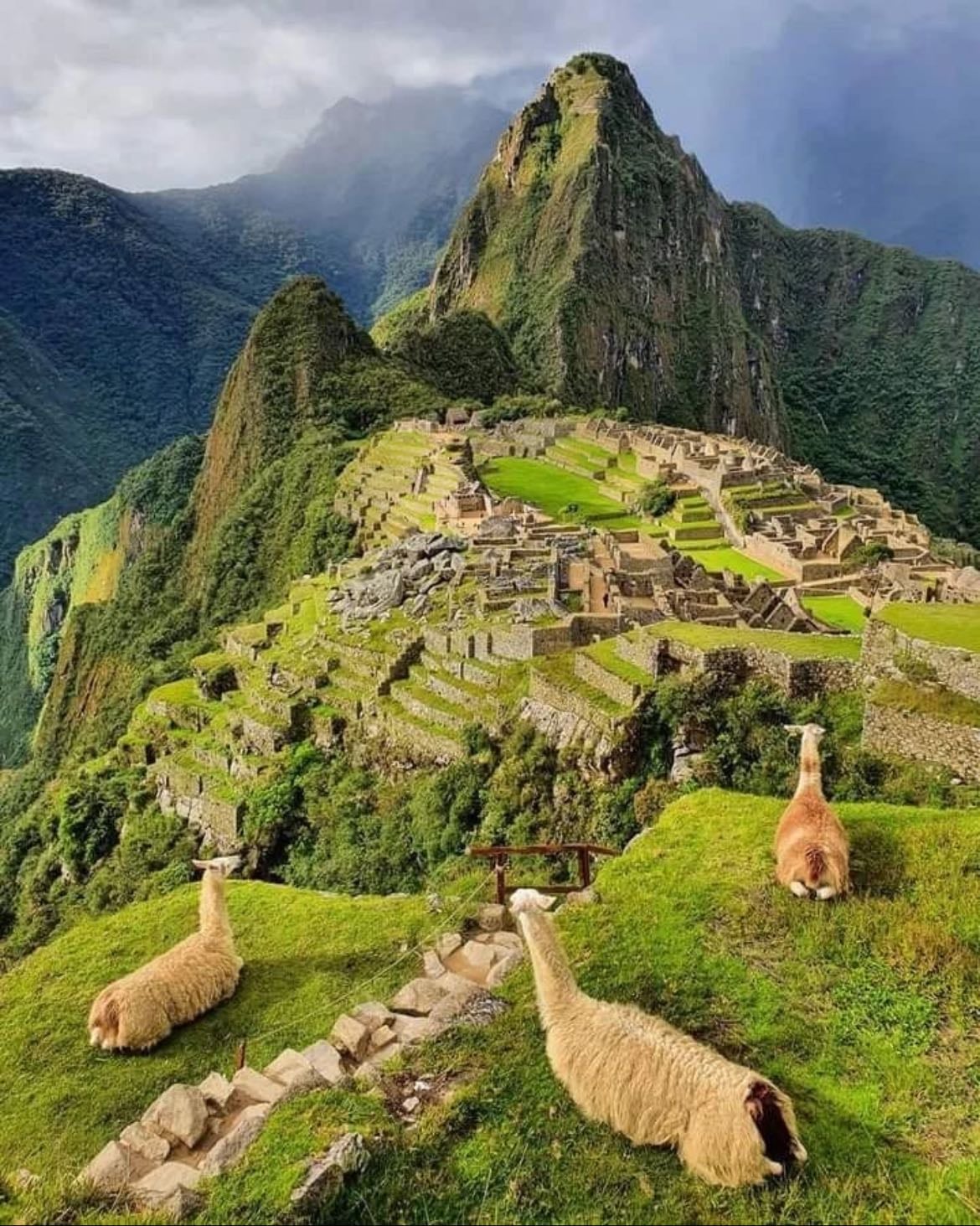Visit Machu Pichu