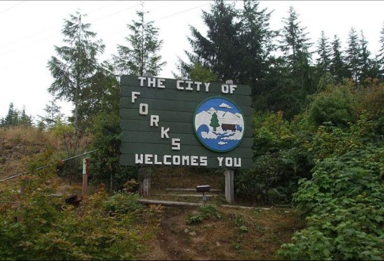 Forks
