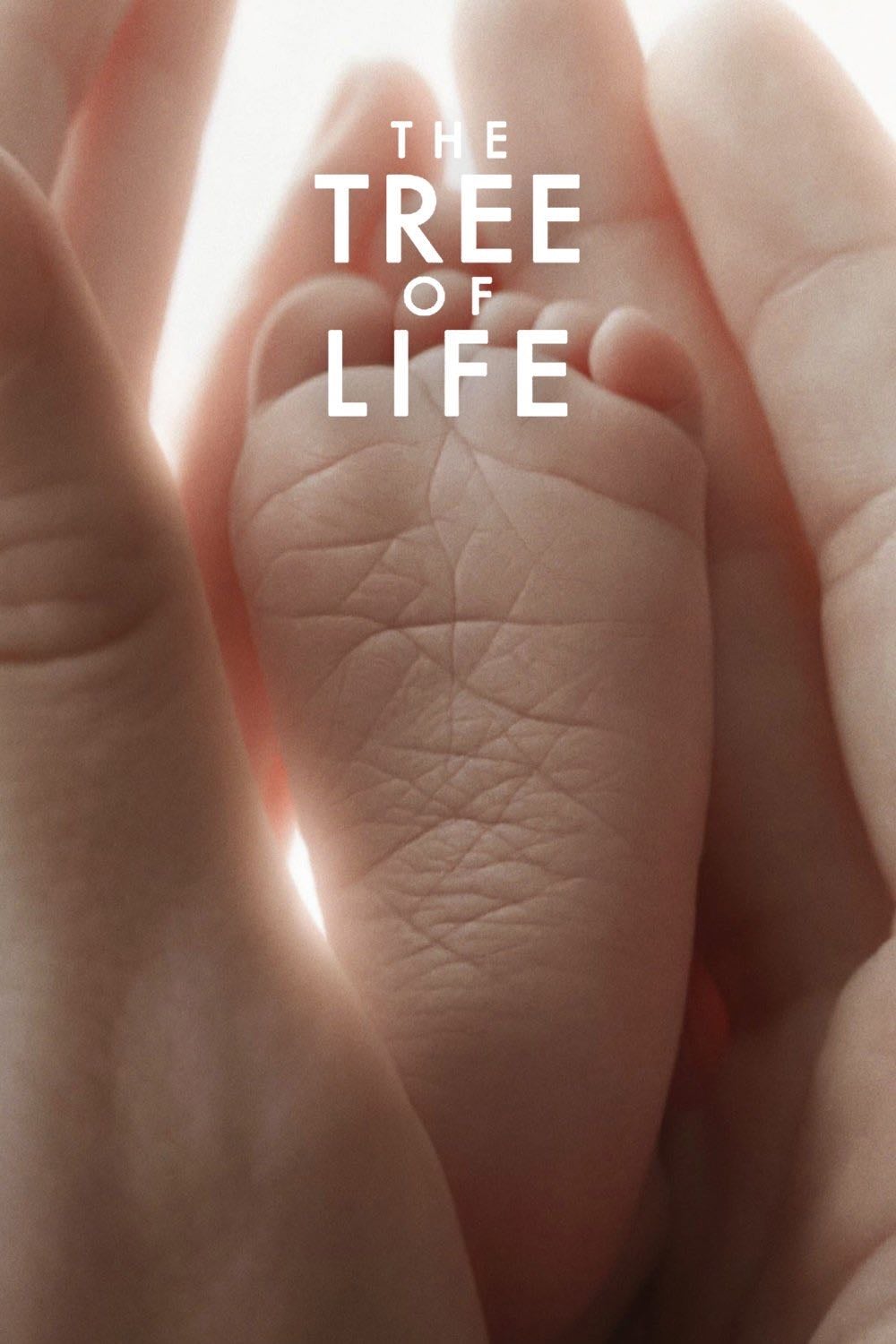 The Tree of Life - Terrence Malick · 2011
