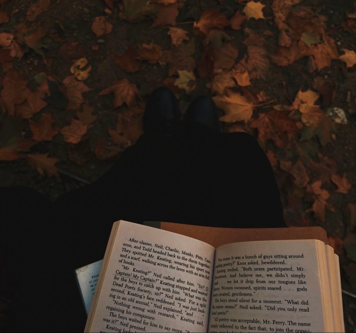 autumn watchlist <33
