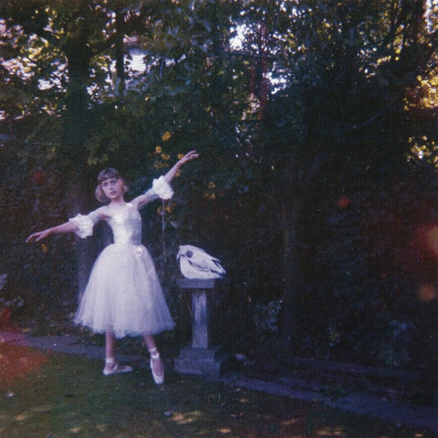 Don't Delete The Kisses - Song · Wolf Alice