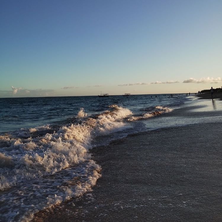 Conocer el mar