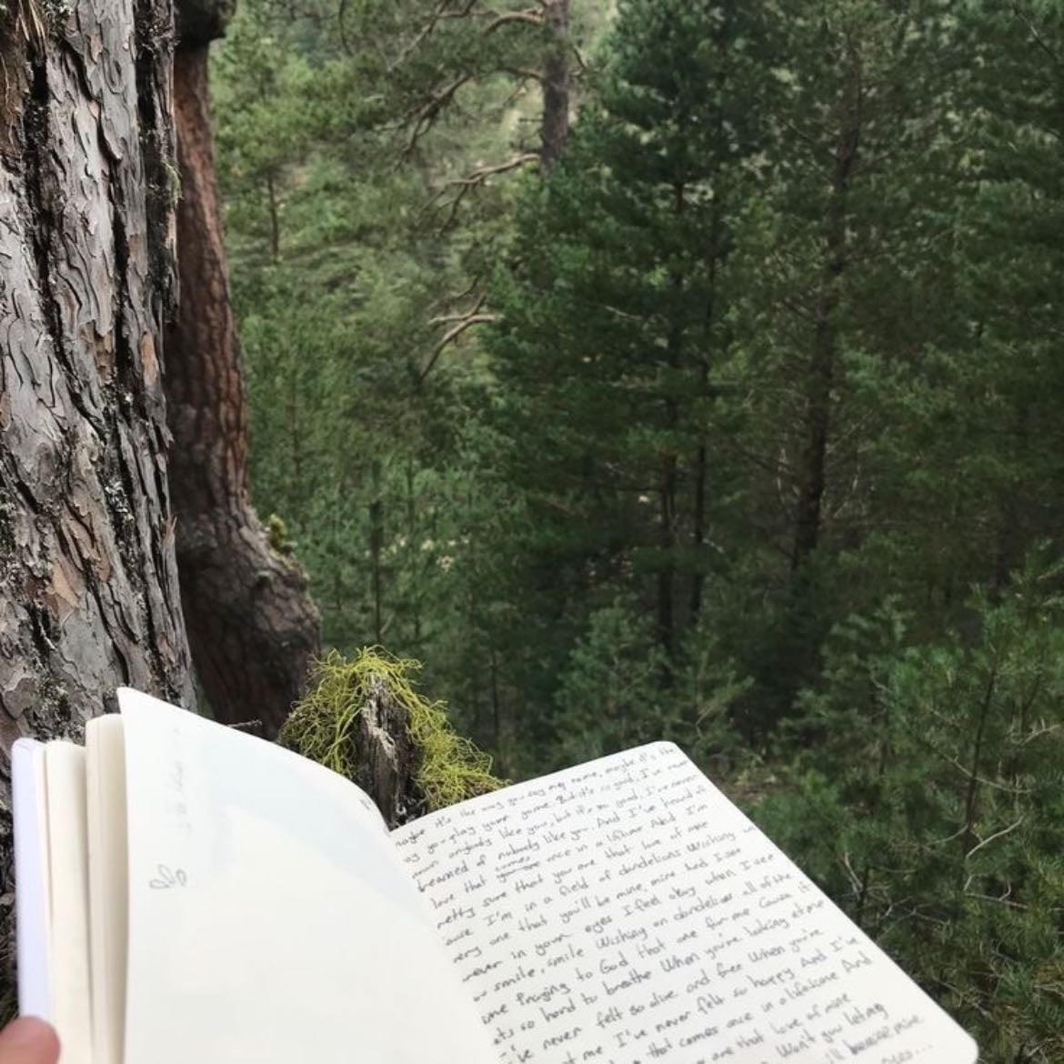 journaling - en algún campo o sitio bonito
