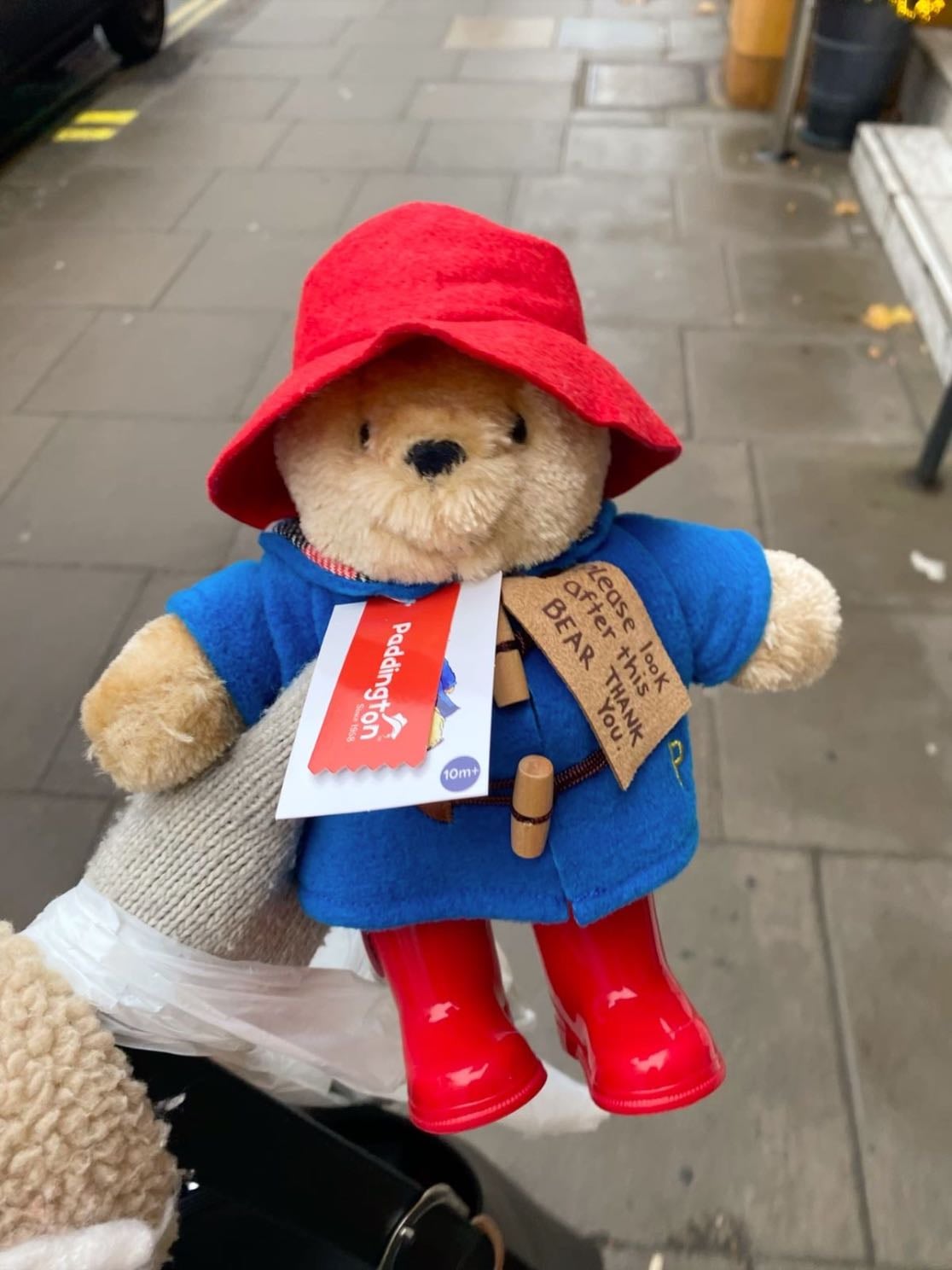 Paddington bear 🧸