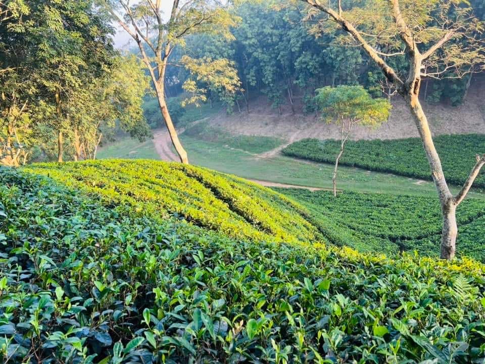 Bangladesh
