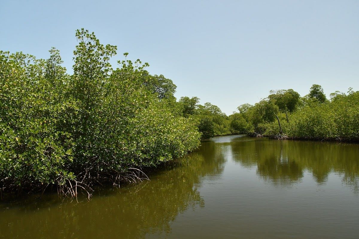 Los Haitises National Park