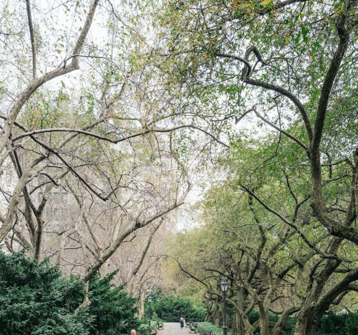parks