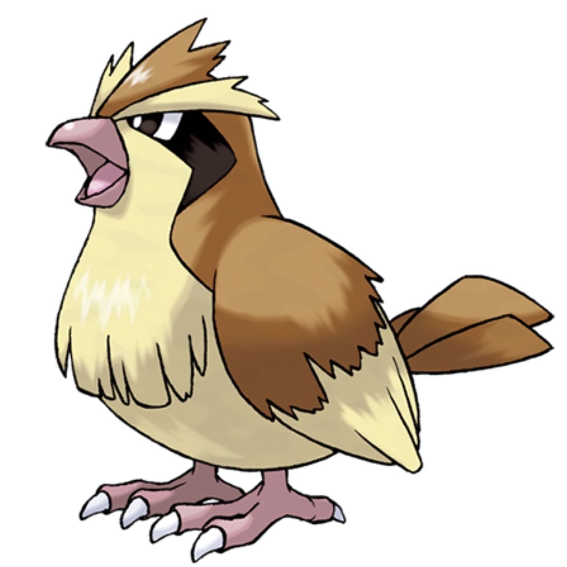 Pidgey - Both Normal and Flying