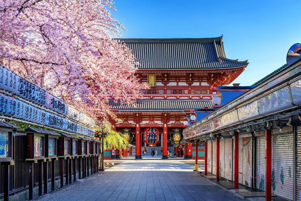 world cultures 🌎 - 🗺️
- Japan, China, South Korea, Germany, Italy, United Kingdom, etc..