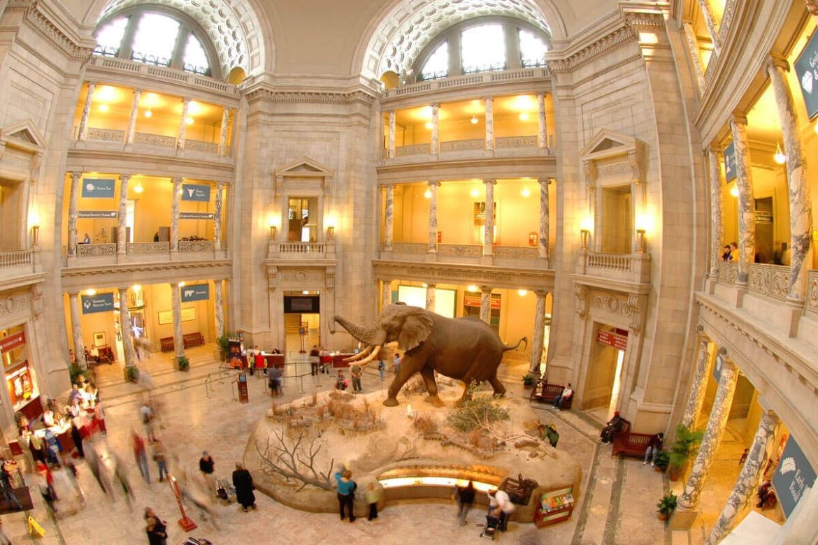museums