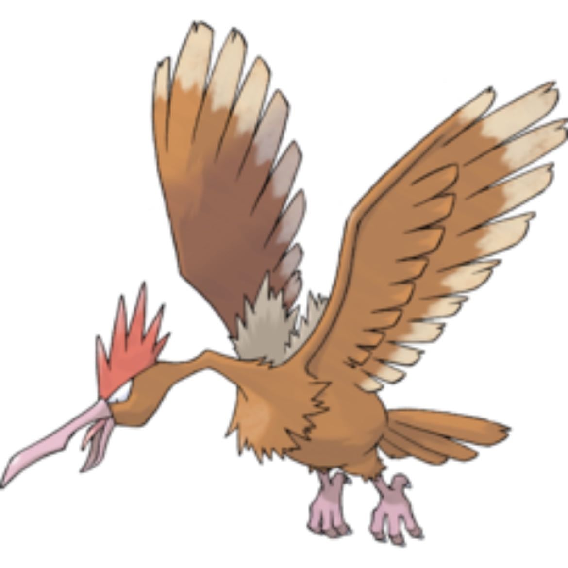 Fearow - Both Normal and Flying Type
Evolved from Spearow