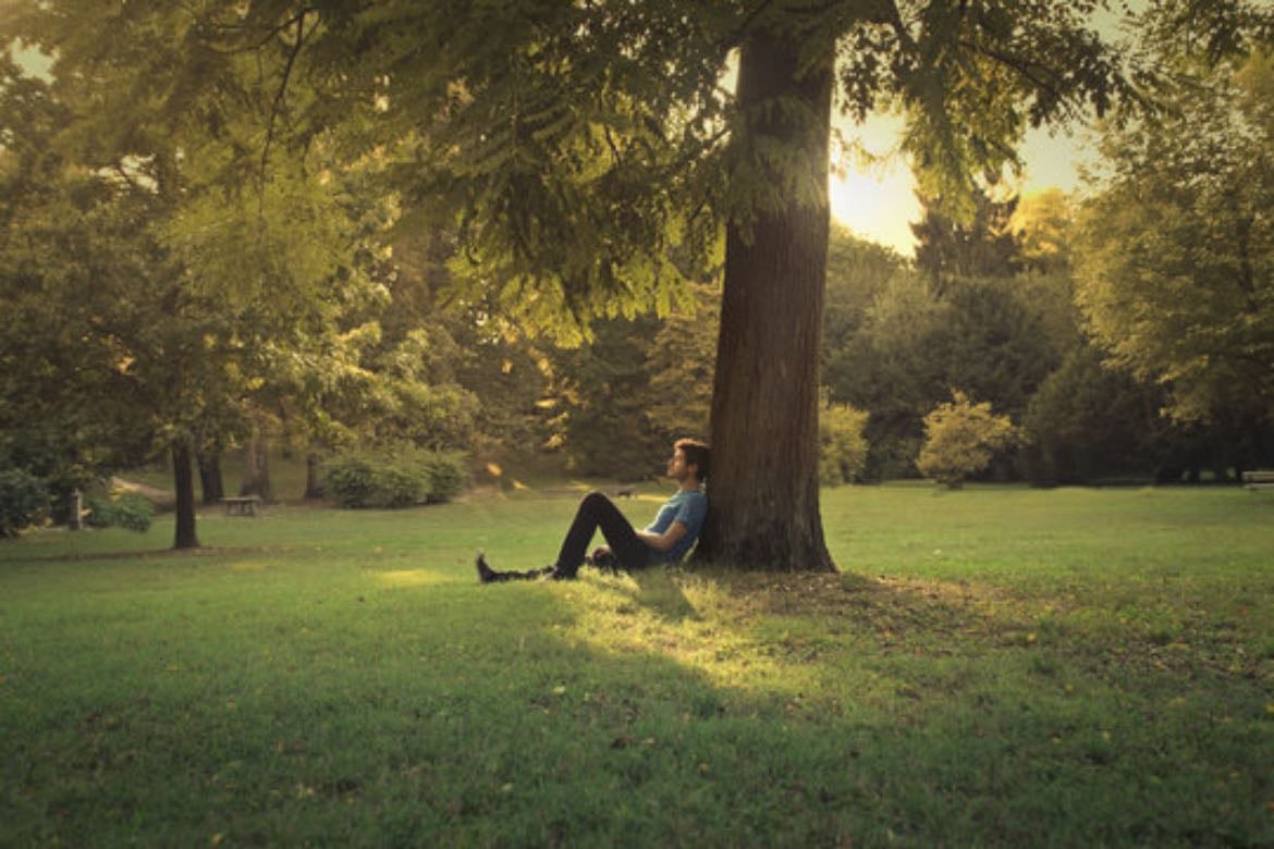 under a tree - or in one