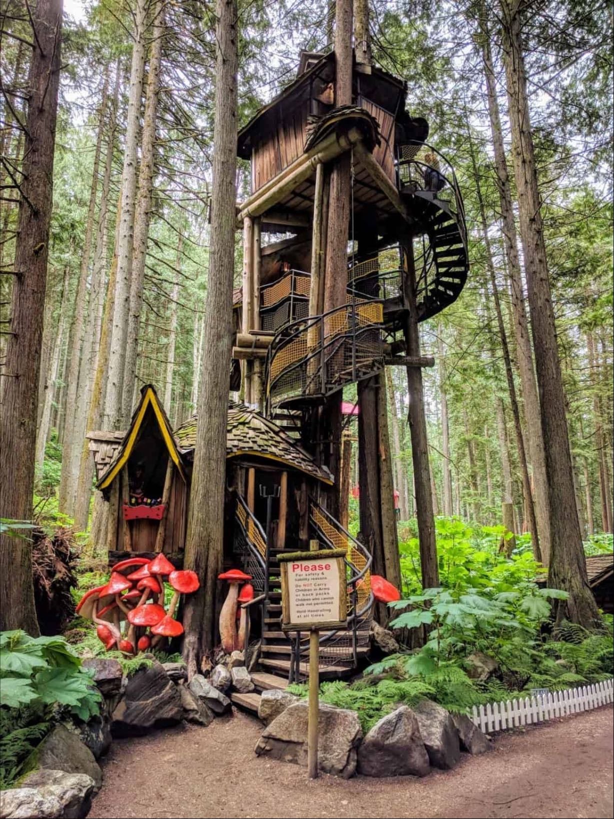The Enchanted Forest