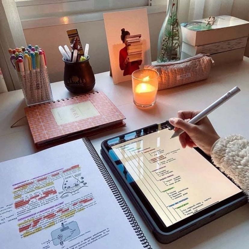 study - (particularly science!)